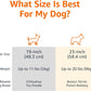 Amazon Basics 2-Door Top-Load Hard-Sided Dog.