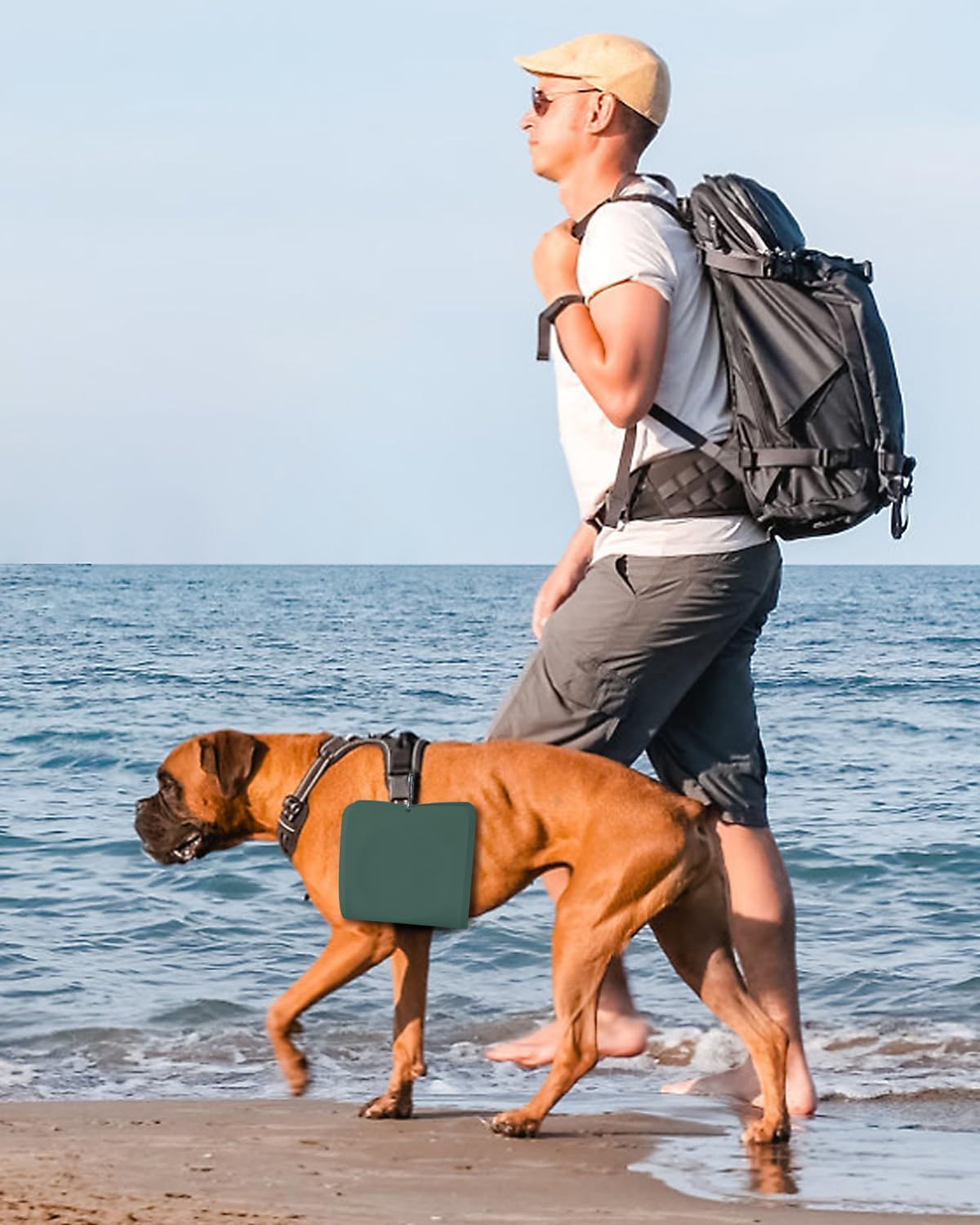 Collapsible Portable 2-in-1 Dog Bowl, Travel Dog Bowl Integrated.