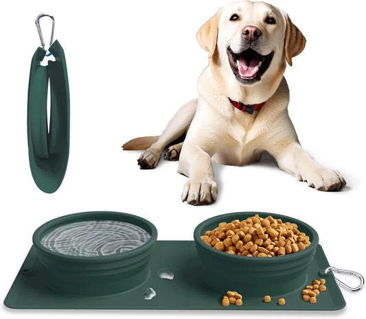 Collapsible Portable 2-in-1 Dog Bowl, Travel Dog Bowl Integrated.