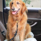 2 Pack Dog Seat Belt Adjustable Dog Harness for Dogs