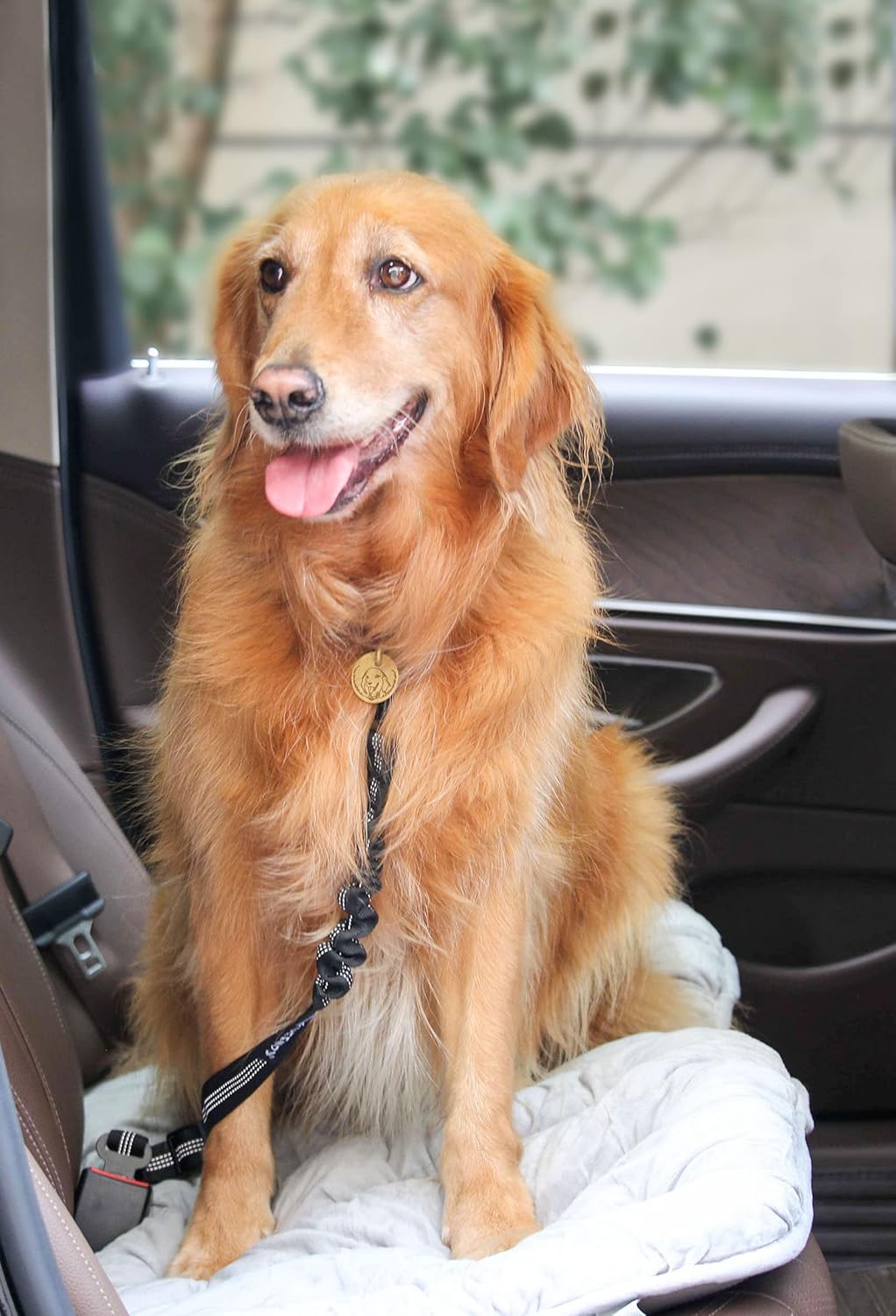 2 Pack Dog Seat Belt Adjustable Dog Harness for Dogs