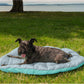 Furhaven Outdoor Travel Dog Bed for Small Dogs
