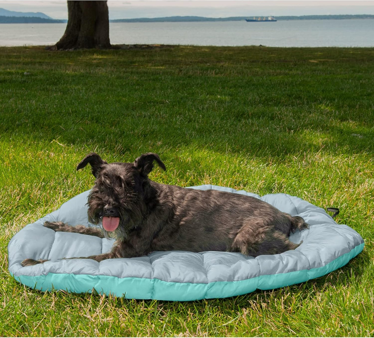 Furhaven Outdoor Travel Dog Bed for Small Dogs