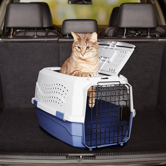 Amazon Basics 2-Door Top-Load Hard-Sided Dog.